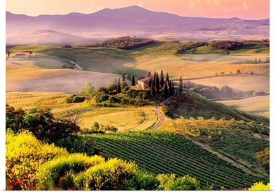 Italy, Tuscany, Orcia Valley, Typical landscape near San Quirico d'Orcia town