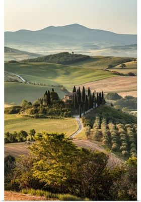 Italy, Tuscany, Podere Belvedere, Typical Farmhouse Near San Quirico D'orcia