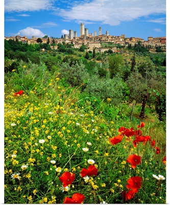 Italy, Tuscany, San Gimignano, view towards the town