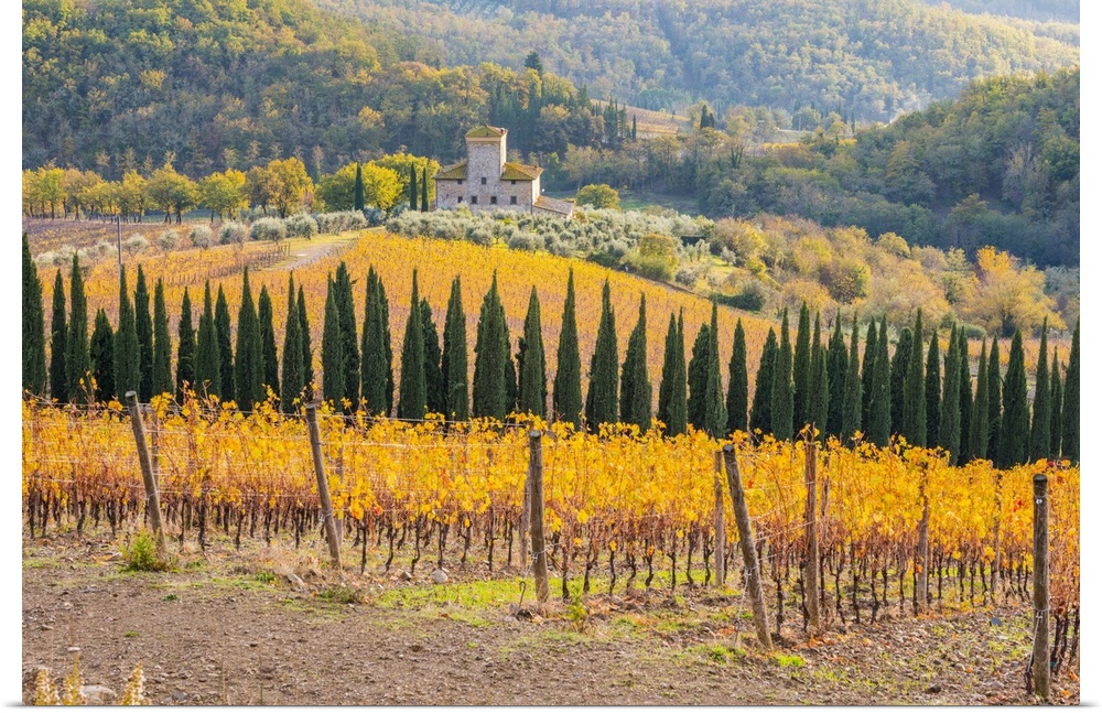 Italy, Tuscany, Siena district, Chianti, Radda in Chianti, View of Chianti area during autumn