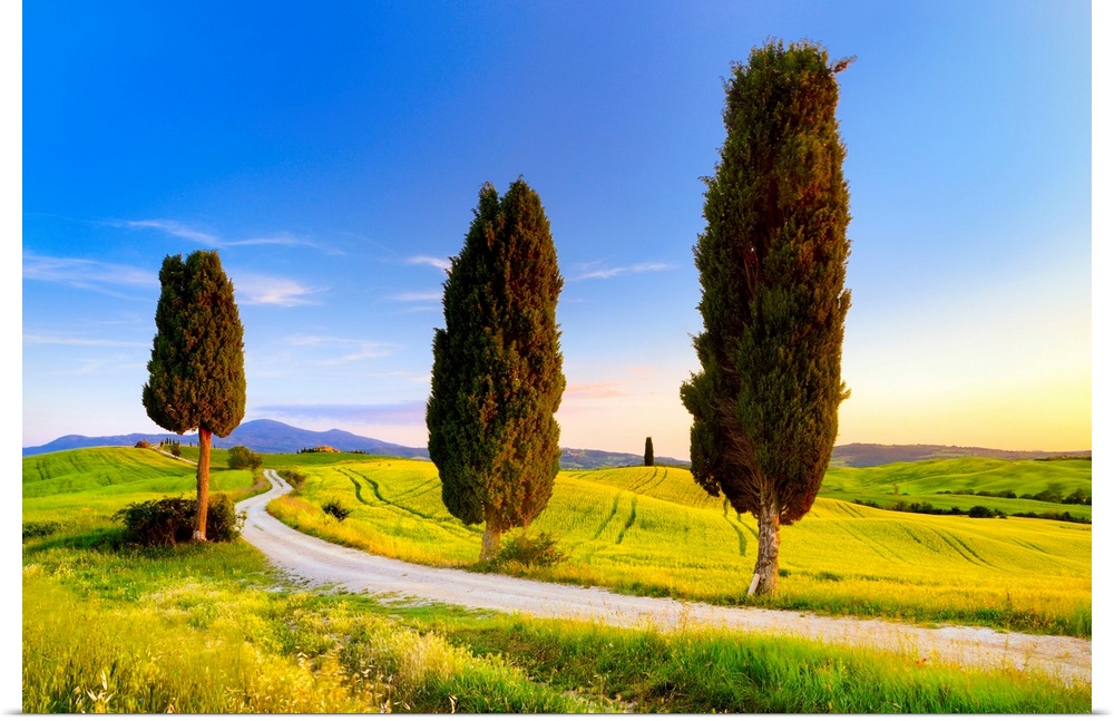 Italy, Tuscany, Siena district, Orcia Valley, Tuscan landscape near Pienza.