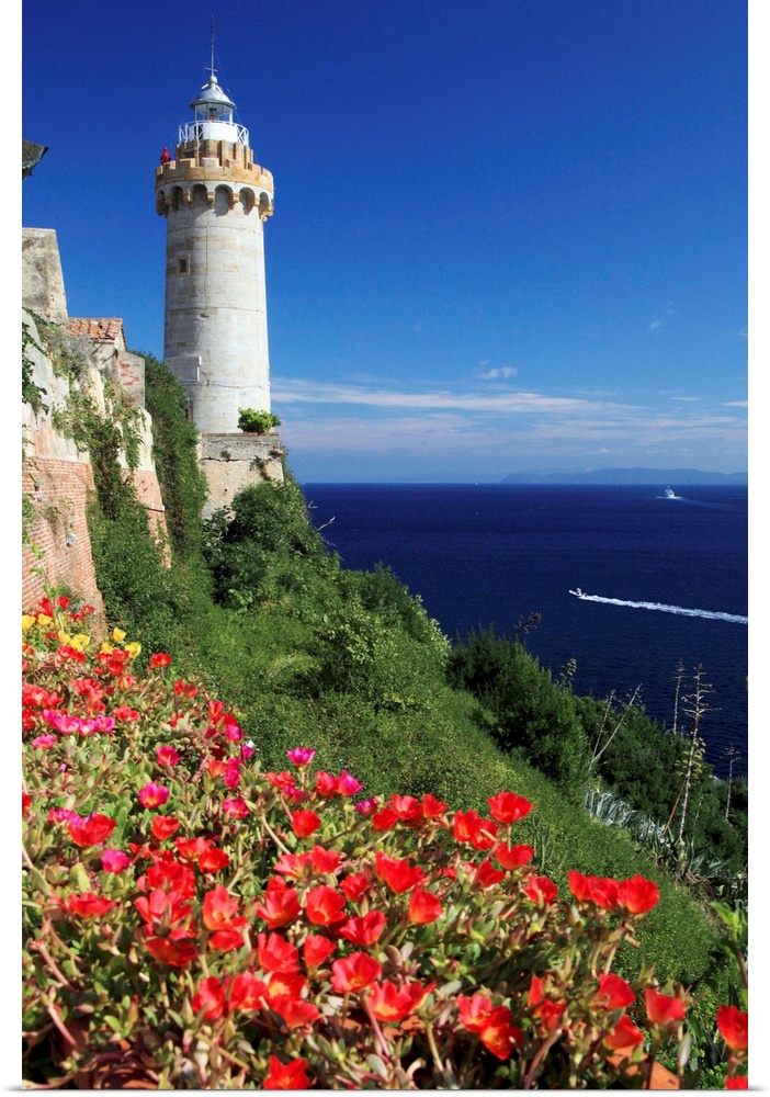 Italy, Tuscany, Mediterranean sea, Tyrrhenian coast, Livorno district, Tuscan Archipelago National Park, Elba island, Port...