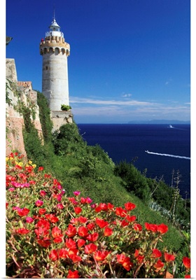Italy, Tuscany, Tuscan Archipelago National Park, Elba island, Portoferraio lighthouse