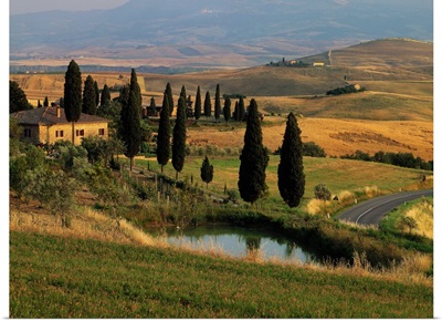 Italy, Tuscany, Typical landscape near Pienza