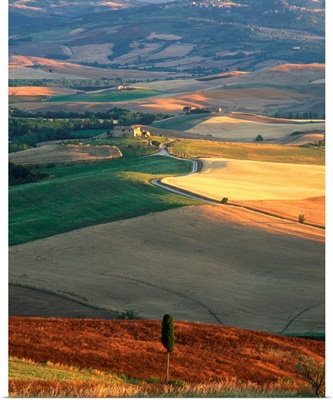 Italy, Tuscany, Val d'Orcia, typical countryside near Pienza