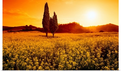 Italy, Tuscany, Val d'Orcia, typical landscape