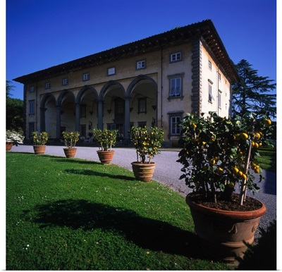 Italy, Tuscany, Villa Oliva Buonvisi