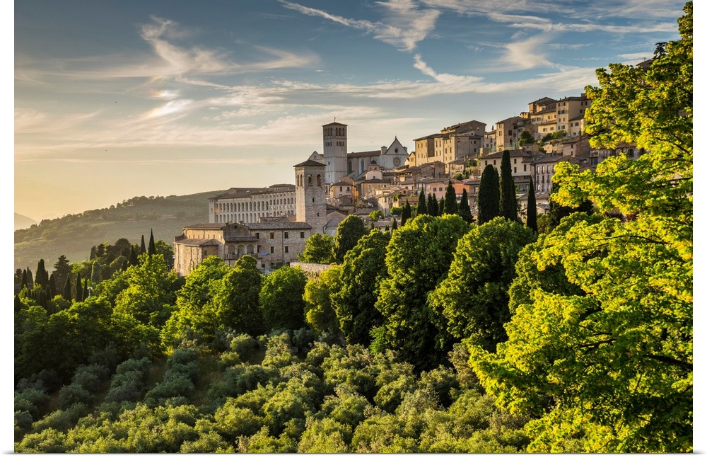 Italy, Umbria, Perugia district, Assisi, View of the town from Suore di Santa Brigida di Svezia Monastery.
