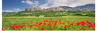 Italy, Umbria, Perugia district, Assisi, The town in spring
