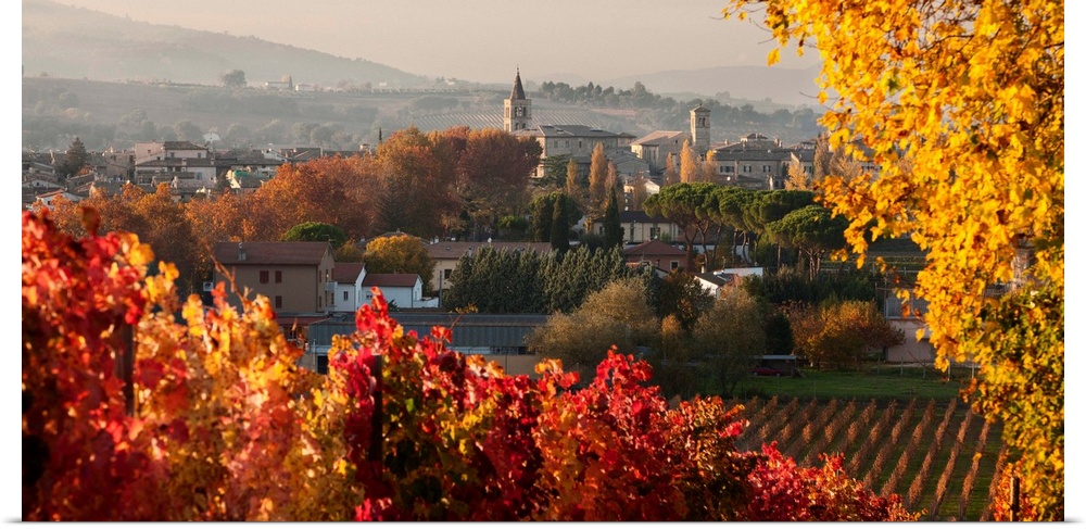 Italy, Umbria, Mediterranean area, Sagrantino wine road, Perugia district, Bevagna, Town and Sagrantino vineyards