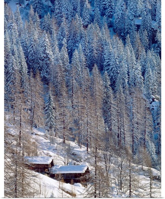 Italy, Valle d'Aosta, Stadel (Walser architecture)