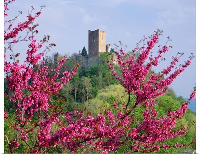 Italy, Veneto, Colli Berici, Montecchio Maggiore village, Romeo and Juliet castles