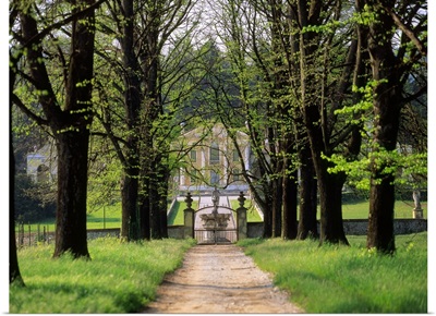 Italy, Veneto, ora Volpi, architect Palladio, tree lined road of lime trees