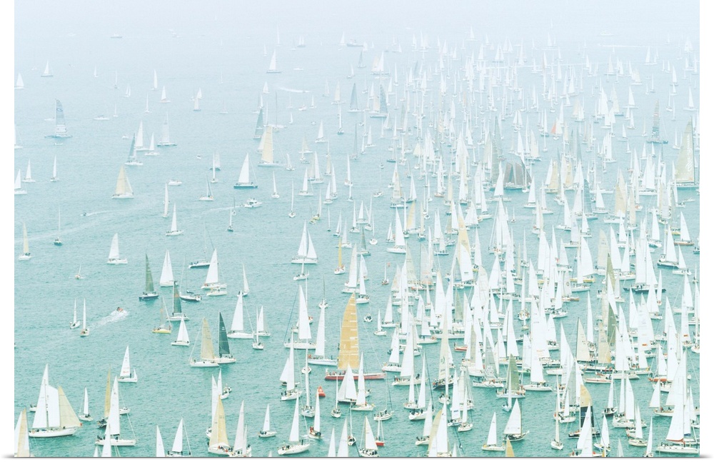 Italy, Venice, Trieste, Barcolana, a famous sailing regatta
