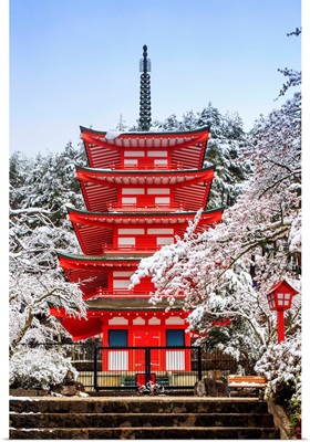 Japan, Chubu, Chureito Pagoda, Arakura Sengen Shrine During Cherry Blossom, Sakura