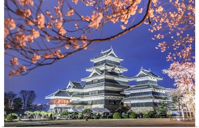 Japan, Chubu, Matsumoto, Matsumoto Castle During The Cherry Blossom, Sakura, By Night