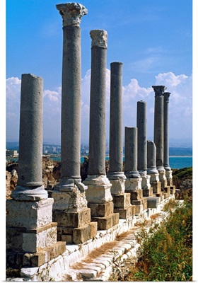 Lebanon, Al-Janub, Tyre, Ruins near the old port