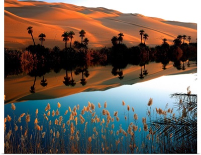 Libya, Fezzan, Ubari Desert, Lake Oum el Ma