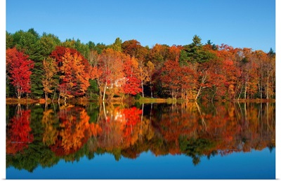 Maine, New England, Landscape at Moose Pond