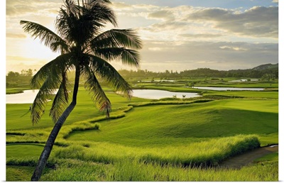 Mauritius, Indian ocean, Domaine Bel Ombre Valriche, golf course