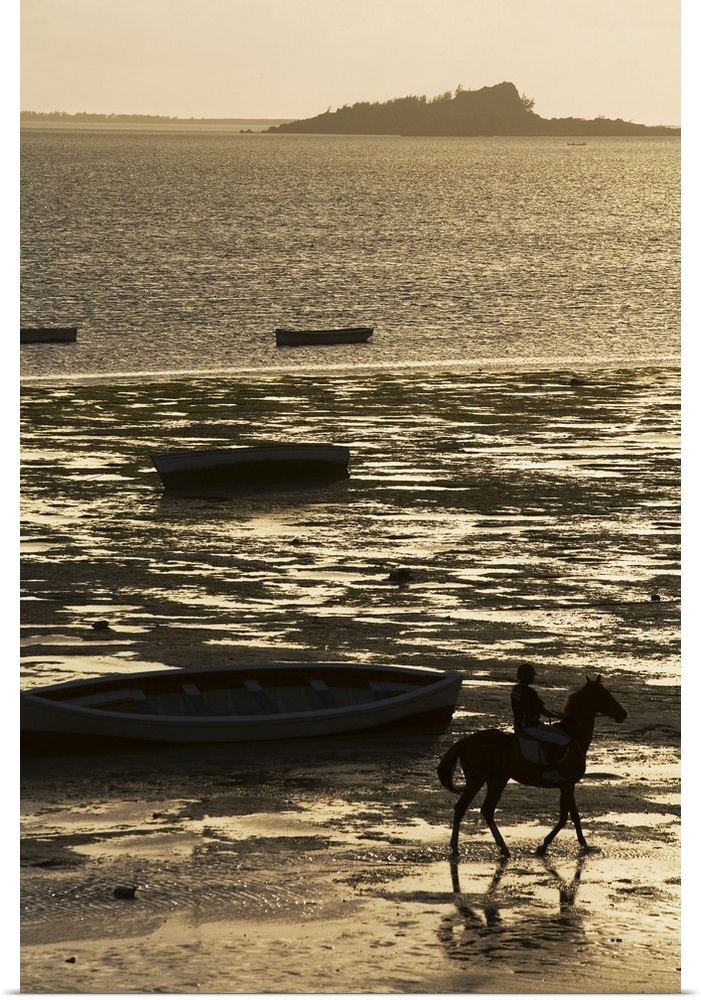 Mauritius, Rodrigues Island, Walk a horse along the beach during the low tide