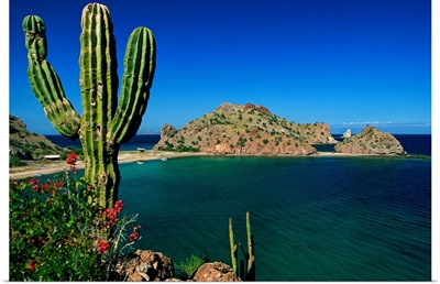 Mexico, Baja California Sur, Gulf of California, Sea of Cortez, Bahia Agua Verde