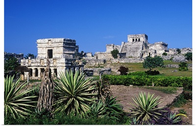 Mexico, Quintana Roo, Riviera Maya, Tulum, The ruins of the ancient Maya city