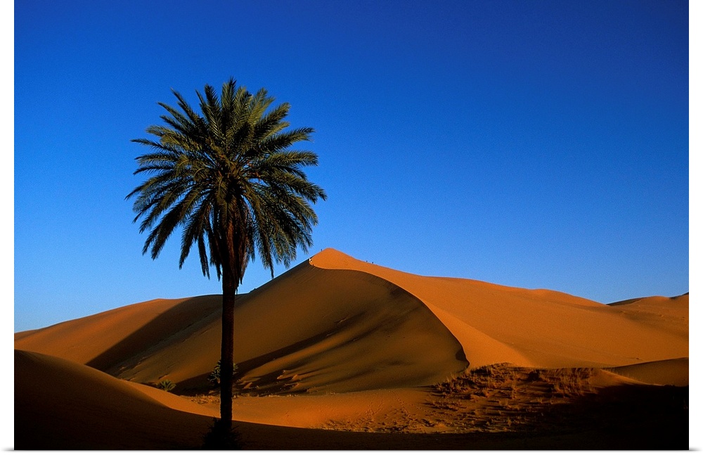 Morocco, Erg Chebbi Desert