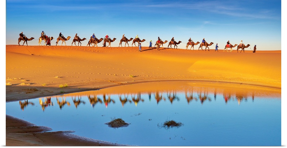 Morocco, South Morocco, Sahara Desert, Erg Chebbi Desert, Merzouga, Camel Trek in the desert.