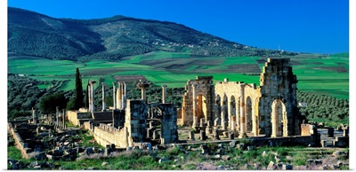 Morocco, Volubilis, Roman ruins, The Basilica and the forum