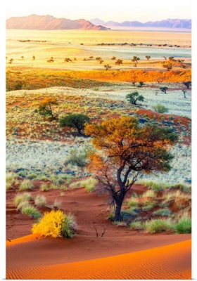 Namibia, Hardap, Namib Desert, Namib-Naukluft National Park, Petrified Dunes At Sunset