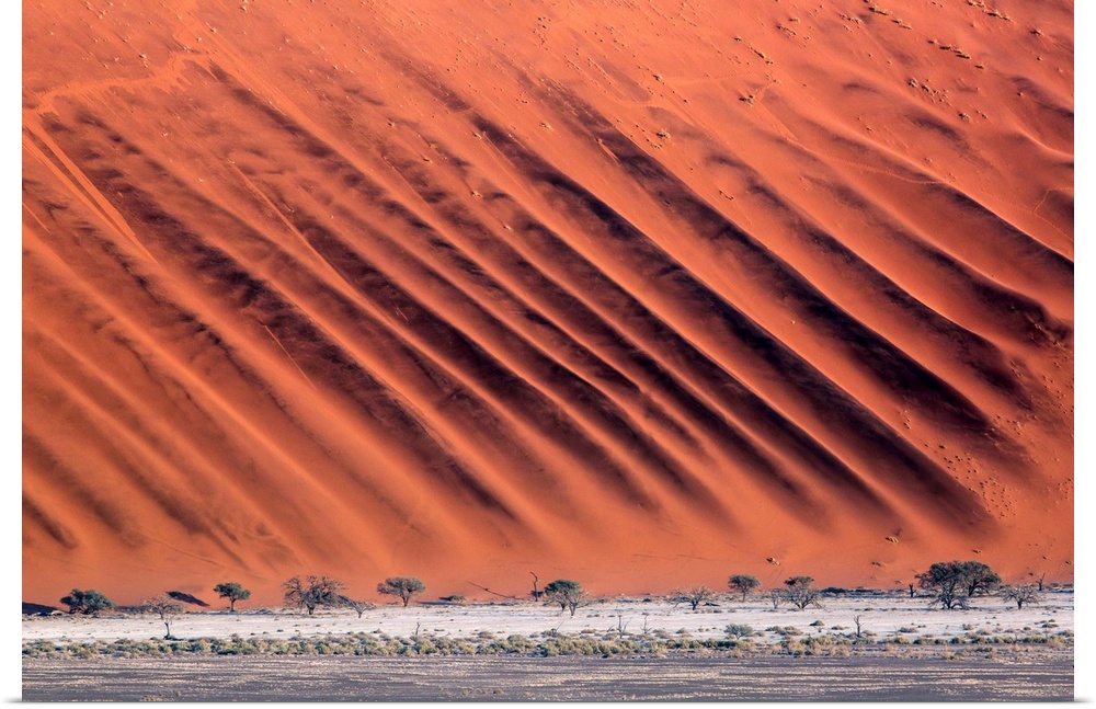 Namibia, Namib Desert, Namib-Naukluft National Park, Dune pattern.