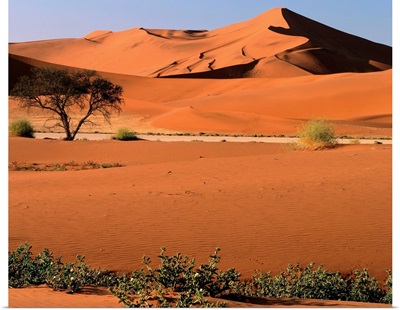 Namibia, Namib Dessert,  Namib Naukluft Park, Sossusvlei Dunes