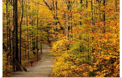 New Hampshire, White Mountains, The Flume Gorge, The path in autumn