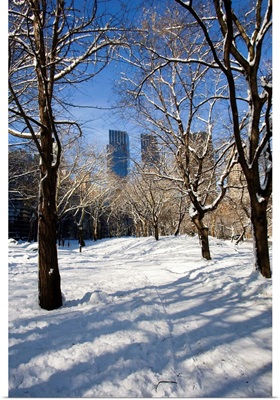 New York, New York City, Winter in Central Park