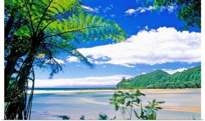 New Zealand, South Island, Abel Tasman National Park, beach