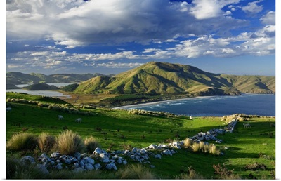 New Zealand, South Island, Central Otago, Otago Peninsula, view on Allans beach