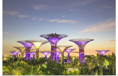 Singapore City, Gardens by the Bay park at sunrise