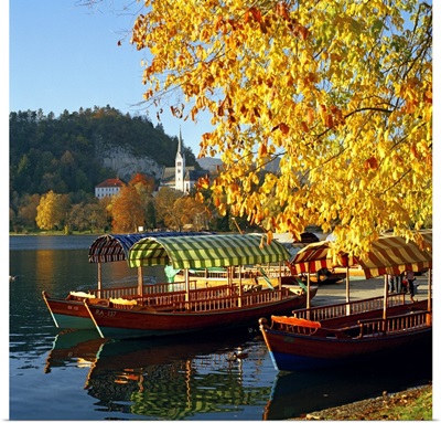 Slovenia, Upper Carniola, Alps, Julian Alps, Bled, Bled lake, typical boats