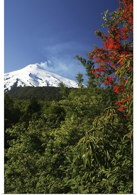 South America, Chile, Los Lagos, View of Villarica volcan