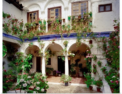 Spain, Andalucia, Typical courtyard (patio)