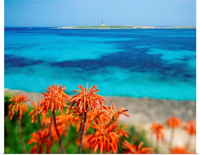 Spain, Balearic Islands, view from Punta Prima beach towards Illa de Laire