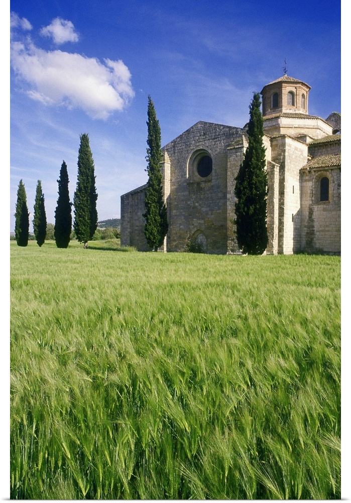 Spain, Mediterranean area, Valladolid, Monastery of San Bernardo