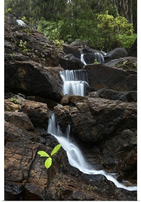 Thailand, Thailand Southern, Southeast Asia, Ko Pha Ngan, Phaeng Waterfall