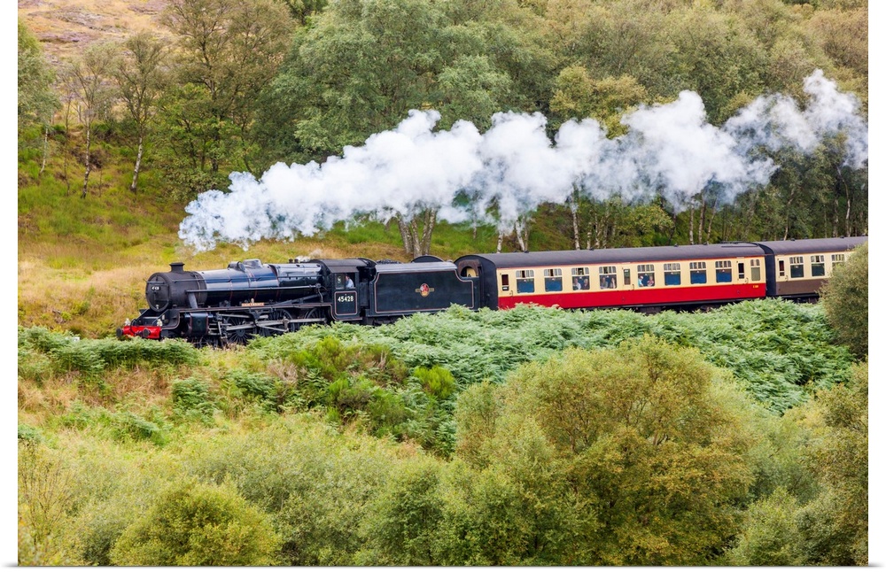 UK, England, Great Britain, North York Moors National Park, North Yorkshire, Goathland, A steam locomotive 45428 Eric Trea...