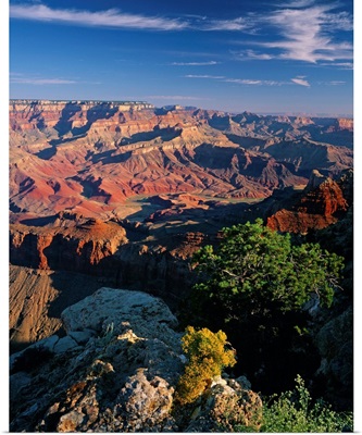 United States, Arizona, Grand Canyon, Grand Canyon National Park, view from Lipan Point