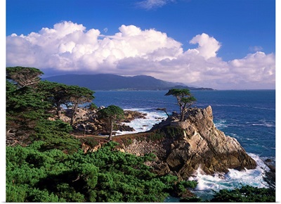 United States, California, Carmel Coast near Monterey Bay
