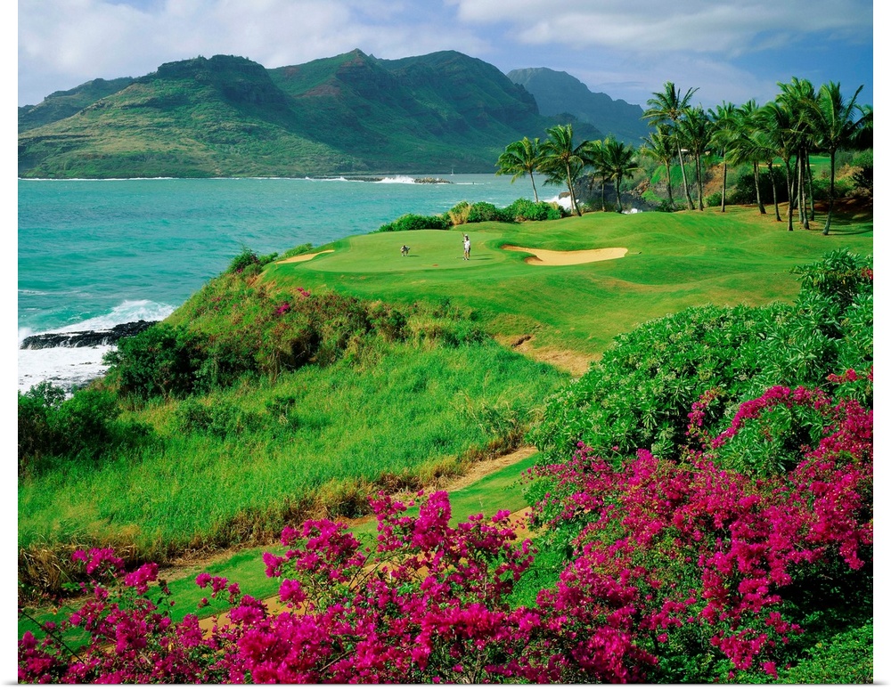 United States, Hawaii, Kauai island, Lihue, Kalapaki bay, Lagoons golf course