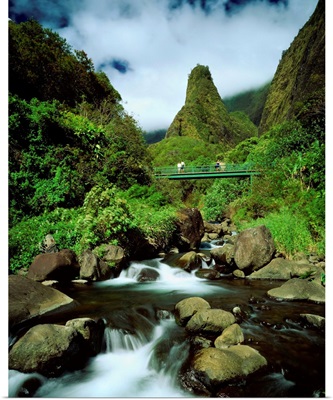 United States, Hawaii, Maui island, Iao Valley State Park