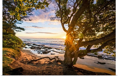 United States, Hawaii, Pacific Ocean, Sunrise In Kauai Island